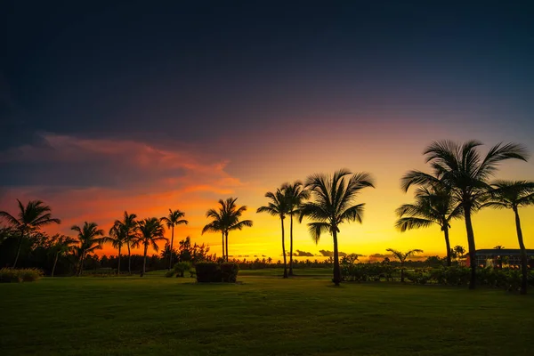 Silhuetas de palmeiras contra a noite de pôr do sol tropical — Fotografia de Stock