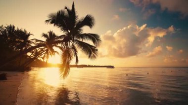 Tropikal ada sahillerinde gün batımına karşı palmiye ağaçlarının siluetleri.