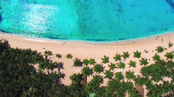 Vista Aérea Sobre Playa Palmeras Tropicales Mar Caribe Isla Saona — Vídeos de Stock