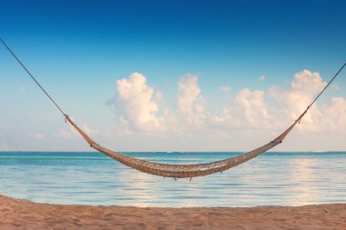 Tropik sahildeki uzun palmiye ağaçlarının altındaki boş hamak..