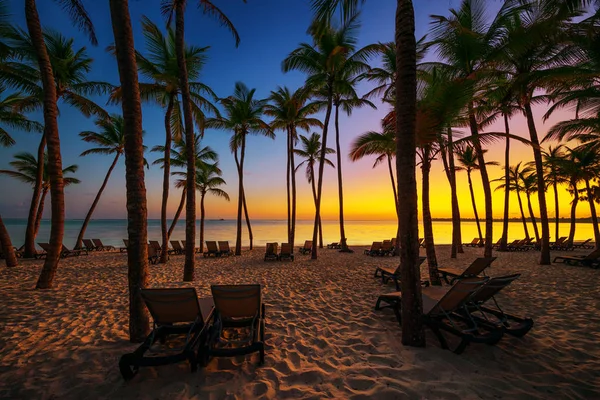 Silla Cubierta Una Playa Tropical Vacía Con Palmeras Amanecer — Foto de Stock