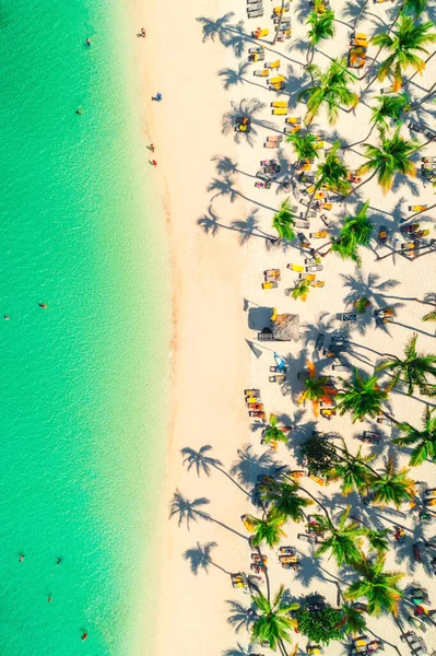Légi Felvétel Caribbean Resort Bavaro Dominikai Köztársaság — Stock Fotó