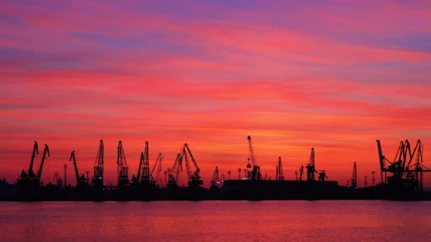 Varna Porto Marítimo Pôr Sol Silhuetas Aves Guindastes Industriais Navios — Vídeo de Stock