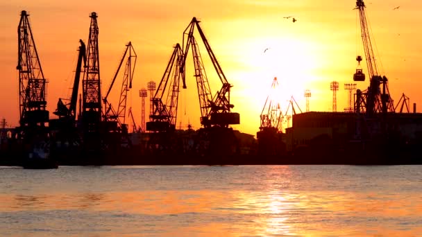 Sunset Silhouettes Industrial Cranes Cargo Ships Varna Port Bulgaria — Stock Video