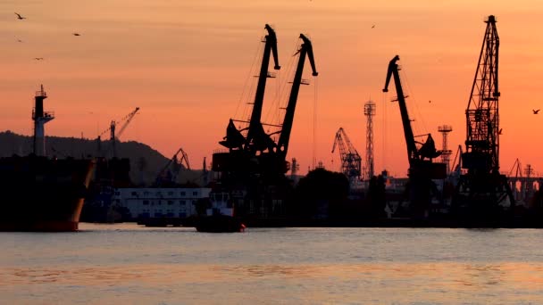 Puerto Marítimo Varna Atardecer Siluetas Aves Grúas Industriales Buques Carga — Vídeos de Stock