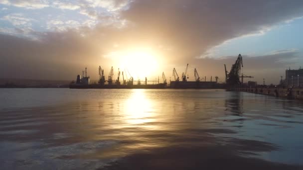 夕暮れ時のヴァルナ海港 鳥のシルエット 産業用クレーンや貨物船 ブルガリア — ストック動画