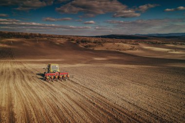 Traktördeki çiftçi gelecek yıl için fidelerle tarım arazisi hazırlıyor.