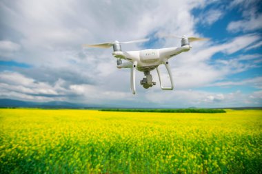 İlkbaharda Rapseed üzerinde uçan dron