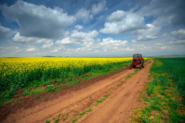 Czerwony Traktor Polu Dramatyczne Chmury — Zdjęcie stockowe