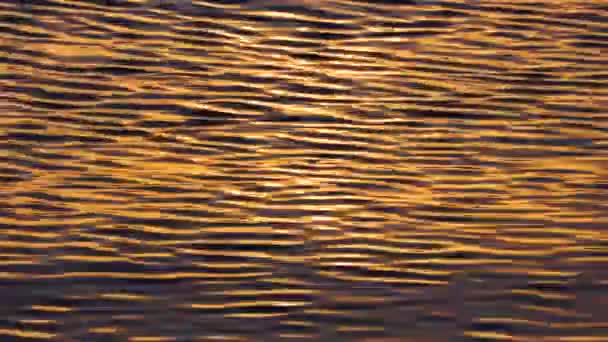 Coucher de soleil. Ondulations vagues comme fond de texture de l'eau 