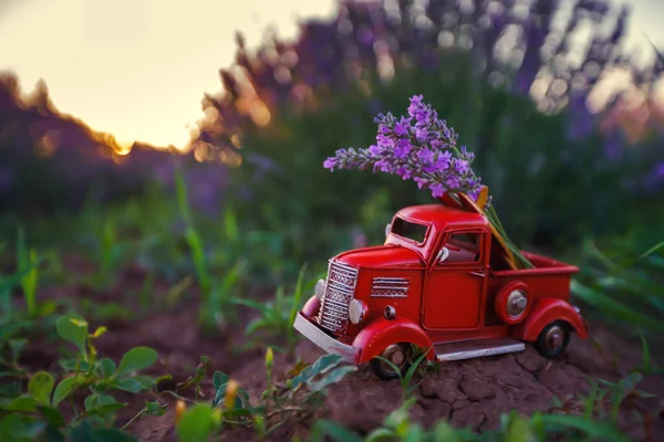 Μινιατούρα Κόκκινο Φορτηγό Ένα Λουλούδι Λεβάντα Στον Τομέα — Φωτογραφία Αρχείου