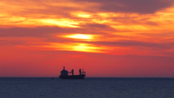 一大早海上日出和在水里航行的货船 — 图库视频影像