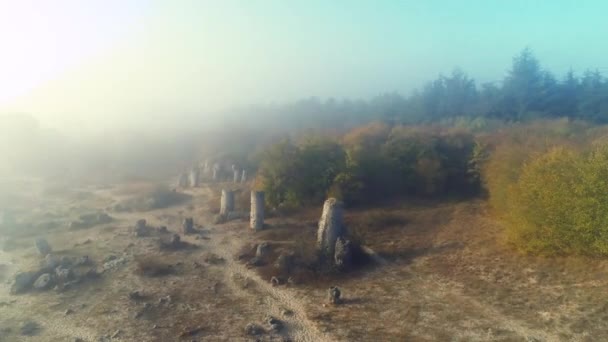 保加利亚瓦尔纳附近被称为Pobiti Kamani的石林形成 — 图库视频影像