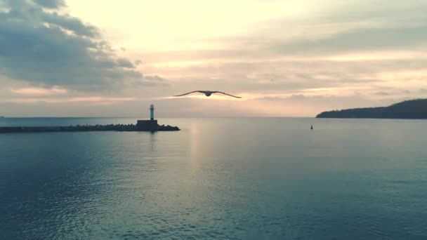 Vliegende Meeuw Vuurtoren Zee Varna Zeehaven Bulgarije — Stockvideo