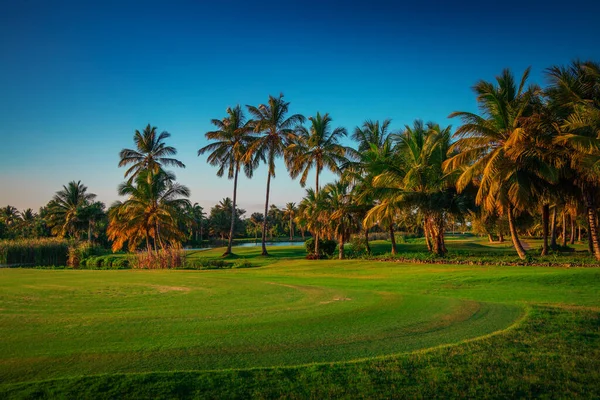 Golfbaan Het Tropische Eiland — Stockfoto