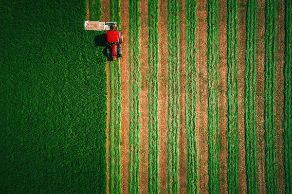 Tractor Mowing Green Field Aerial Top View — Stock Photo, Image