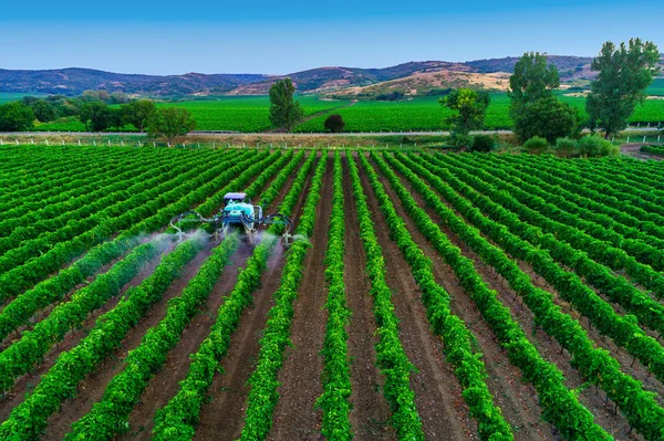 Traktor Permetező Szőlő Felett Szőlőültetvény Európában — Stock Fotó