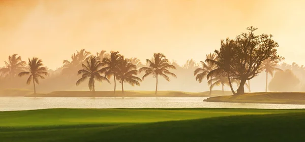 Campo Golf Isla Tropical —  Fotos de Stock