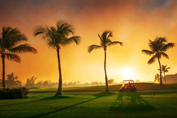 Campo Golf Nell Isola Tropicale — Foto Stock