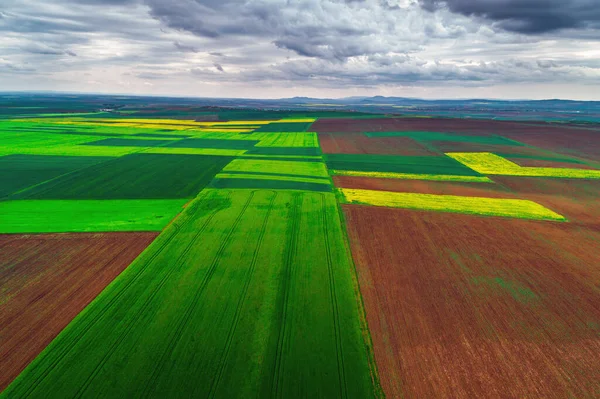 Весенний Вид Воздуха Поля Сельскохозяйственного Рапса — стоковое фото