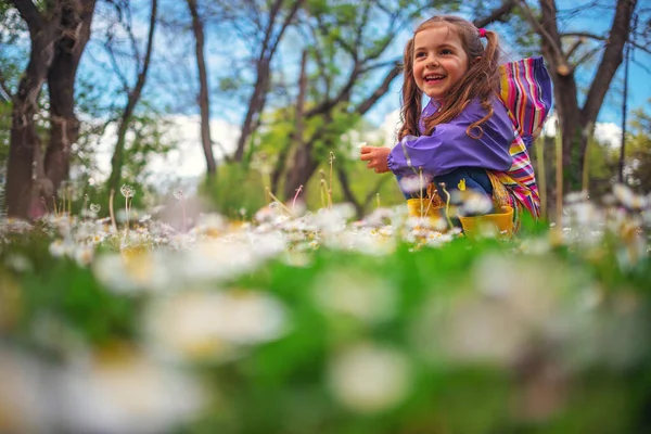 Yağmurdan Sonra Çiçeklerle Çimenlerde Oynayan Mutlu Küçük Kız Yağmurluk Sarı — Stok fotoğraf