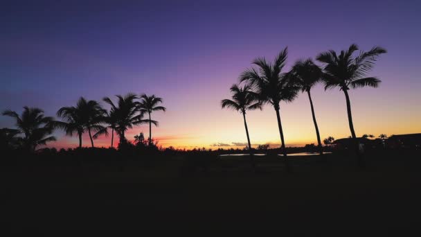 Campo Golf Isla Tropical Hermosa Puesta Sol Con Siluetas Palmeras — Vídeos de Stock
