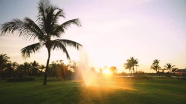 Altın günbatımı sırasında Fairway üzerinde Golf Sahası yağmurlama