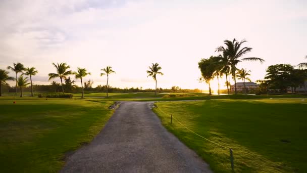 Golfové Hřiště Tropickém Ostrově Krásný Západ Slunce Palmami Siluety Video — Stock video
