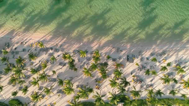 Widok Lotu Ptaka Karaibską Tropikalną Plażę Palmami Białym Piaskiem Podróże — Wideo stockowe