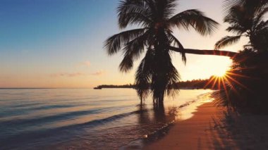 Tropik ada plajları ve palmiye ağaçları üzerinde gün doğumu. Punta Cana, Dominik Cumhuriyeti