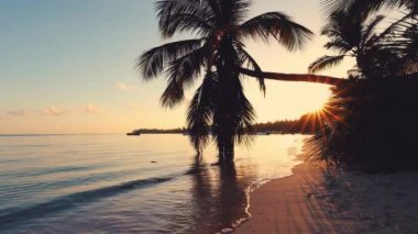 Tropik ada plajları ve palmiye ağaçları üzerinde gün doğumu. Punta Cana, Dominik Cumhuriyeti