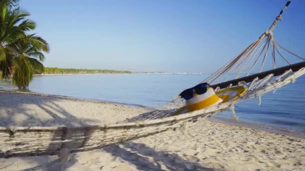 Hamac Gol Între Palmieri Plaja Tropicală Lângă Mare — Videoclip de stoc