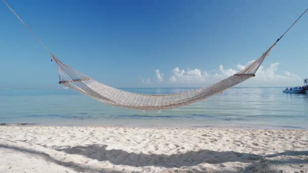 Lege Hangmat Tussen Palmbomen Tropisch Strand Aan Zee — Stockvideo