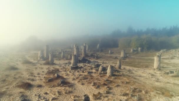 Forest Stone Formation Pobiti Kamani Landmark Varna Bulgaria — Stock Video