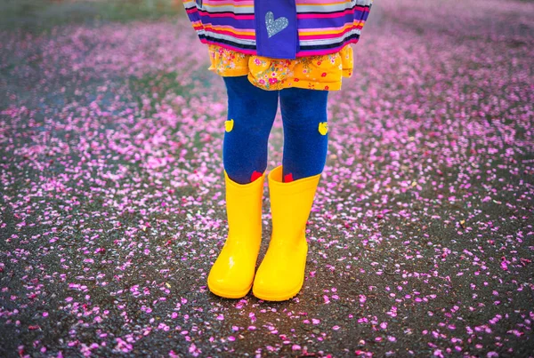 Niña Con Botas Goma Amarillas Caminando Parque Después Lluvia Niño —  Fotos de Stock