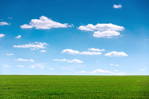 Зеленое Поле Голубое Небо Облаками — стоковое фото