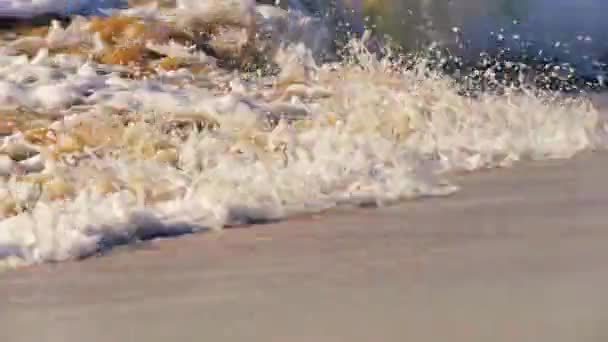 Sjøbølger Plasker Strandsanden – stockvideo