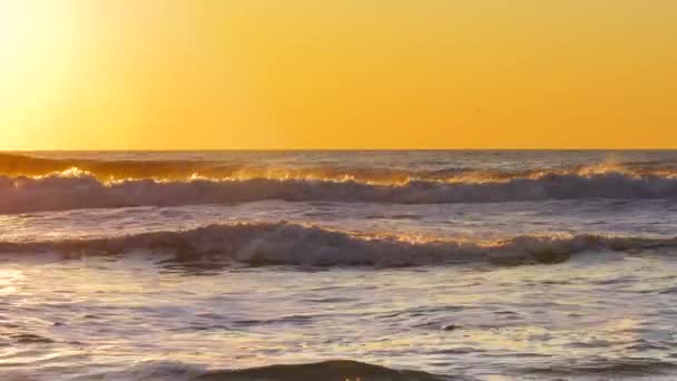 Golden Sea Sunrise Ocean Waves — Stock video