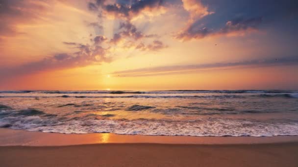 熱帯のビーチの日の出 砂の上に海の波が飛び散る — ストック動画