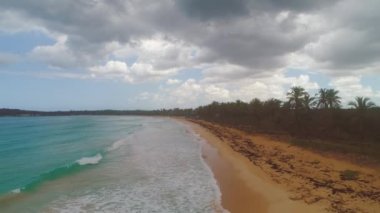 Palmiye ağacı ve tropik ada plajı, Punta Cana 'da gün doğumu, Dominik Cumhuriyeti