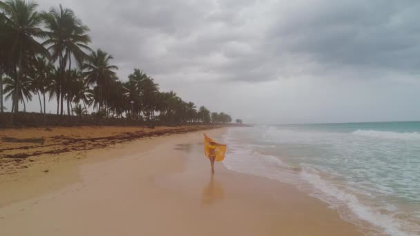 Безтурботна Молода Жінка Розслабляє Екзотичному Пляжі Карибський Тропічний Відпочинок — стокове відео