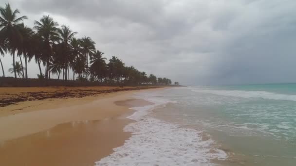 Praia Tropical Ilha Palmeiras Costa Exótica — Vídeo de Stock