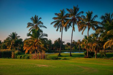 Tropikal adada golf sahası