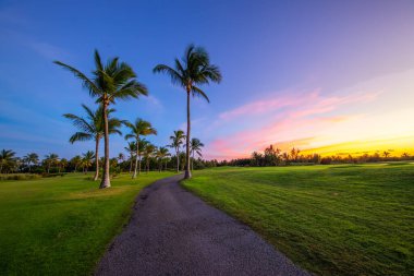 Günbatımında tropik golf sahası, Dominik Cumhuriyeti, Punta Cana