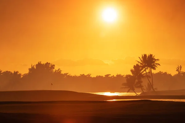 Campo Golfe Ilha Tropical — Fotografia de Stock