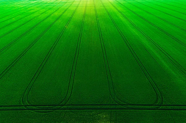 Luftaufnahme Über Dem Landwirtschaftlichen Feld — Stockfoto