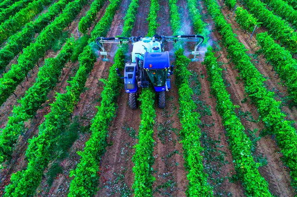 Tractor Rociando Vides Sobre Viñedos Europa — Foto de Stock