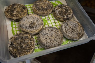 yaşlanma peynir kafa