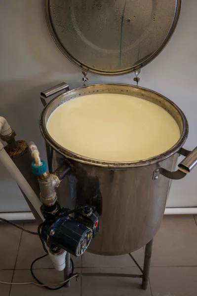 Production de fromage à la ferme laitière — Photo