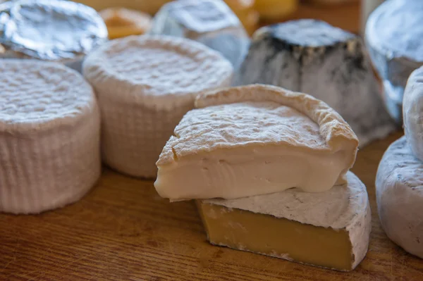 Conjunto de queijo diferente — Fotografia de Stock